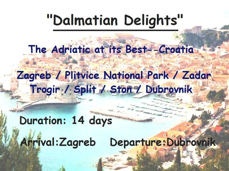 VBT-DalmatDelight-bkgr-1a