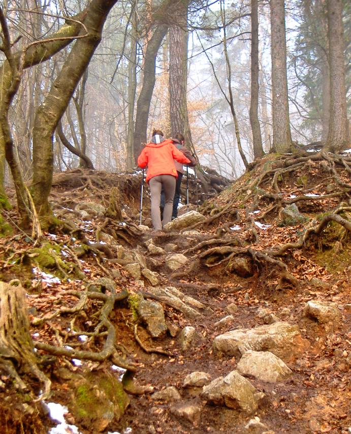 Šmarna gora - a double-peak stand-alone mountain -between Ljubljana & Škofja Loka - great day hiking! 